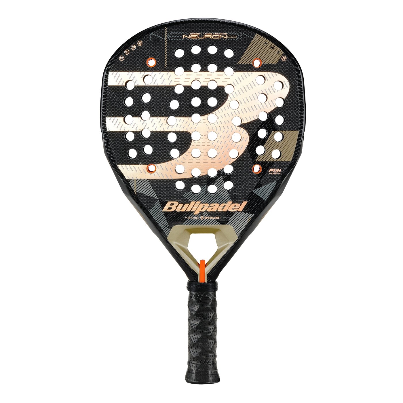 PALA NEURON 02